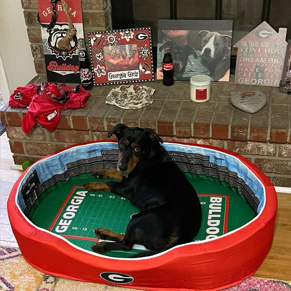 🎄 🎅 Georgia Bulldog Large Stadium Dog Bed NIB.